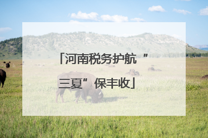 河南税务护航“三夏”保丰收