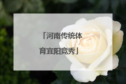 河南传统体育宜阳竞秀