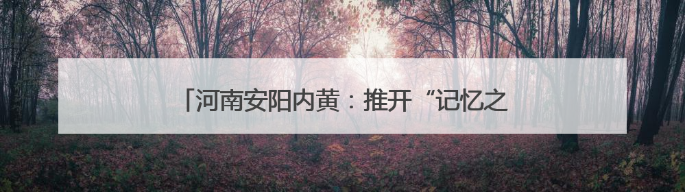 河南安阳内黄：推开“记忆之门” 翻阅档案里的历史轨迹