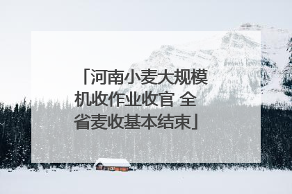 河南小麦大规模机收作业收官 全省麦收基本结束
