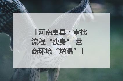 河南息县：审批流程“瘦身” 营商环境“增温”