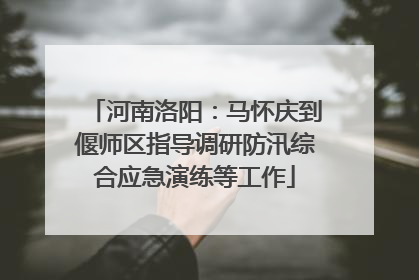 河南洛阳：马怀庆到偃师区指导调研防汛综合应急演练等工作