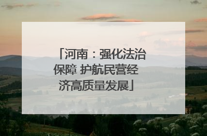 河南：强化法治保障 护航民营经济高质量发展