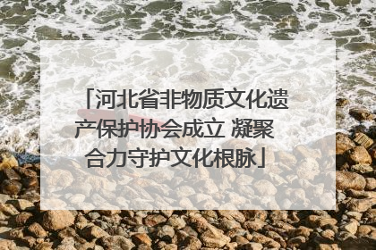 河北省非物质文化遗产保护协会成立 凝聚合力守护文化根脉