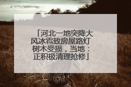 河北一地突降大风冰雹致房屋路灯树木受损，当地：正积极清理抢修