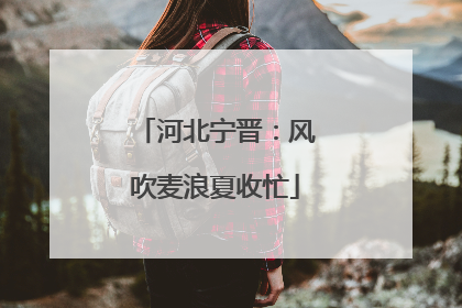 河北宁晋：风吹麦浪夏收忙