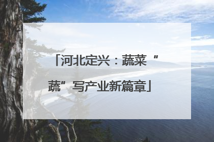 河北定兴：蔬菜“蔬”写产业新篇章