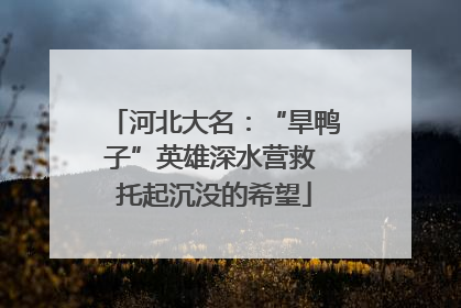 河北大名：“旱鸭子”英雄深水营救 托起沉没的希望