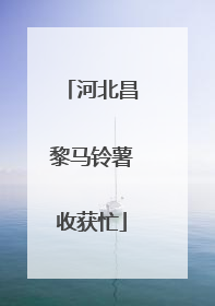 河北昌黎马铃薯收获忙