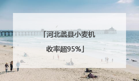 河北蠡县小麦机收率超95%