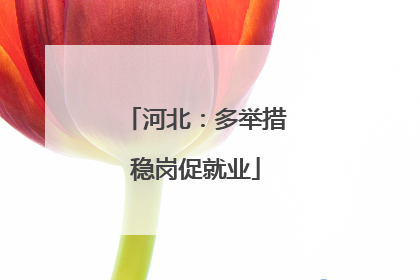 河北：多举措稳岗促就业
