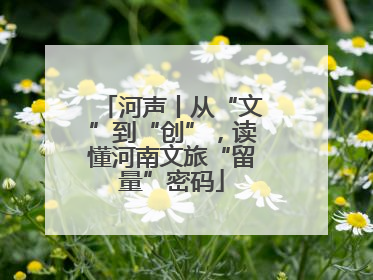 河声丨从“文”到“创”，读懂河南文旅“留量”密码