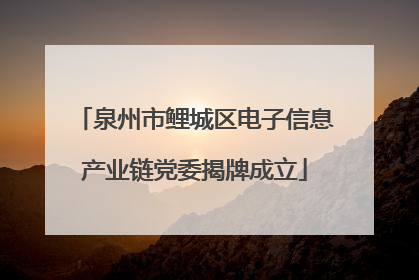 泉州市鲤城区电子信息产业链党委揭牌成立
