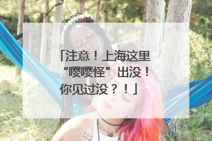 注意！上海这里“嘤嘤怪”出没！你见过没？！