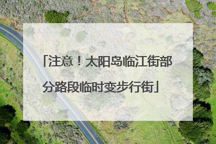 注意！太阳岛临江街部分路段临时变步行街