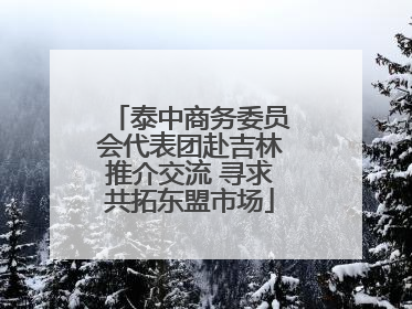 泰中商务委员会代表团赴吉林推介交流 寻求共拓东盟市场