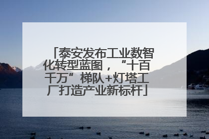 泰安发布工业数智化转型蓝图，“十百千万”梯队+灯塔工厂打造产业新标杆
