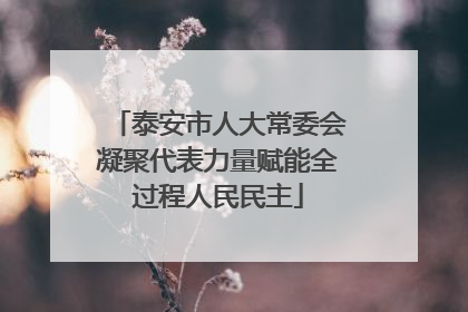 泰安市人大常委会凝聚代表力量赋能全过程人民民主