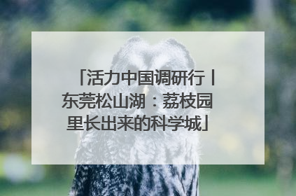活力中国调研行丨东莞松山湖：荔枝园里长出来的科学城