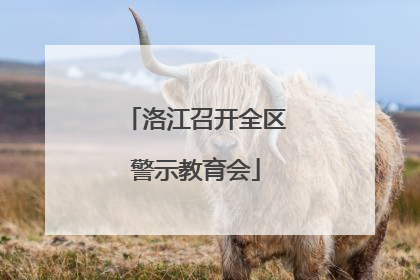 洛江召开全区警示教育会