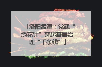 洛阳孟津：党建“绣花针”穿起基层治理“千条线”