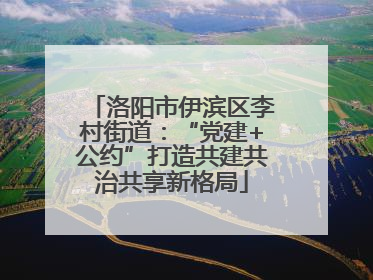 洛阳市伊滨区李村街道：“党建+公约”打造共建共治共享新格局