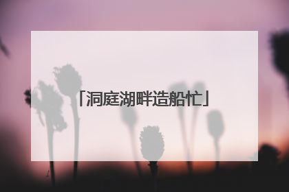 洞庭湖畔造船忙