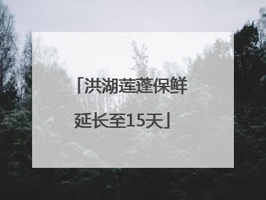 洪湖莲蓬保鲜延长至15天