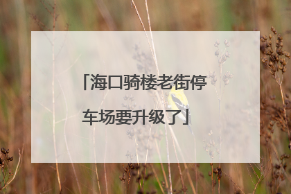 海口骑楼老街停车场要升级了