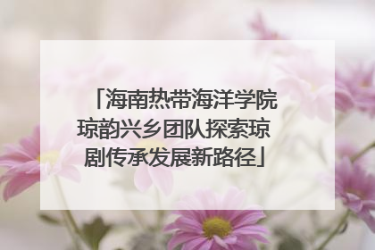 海南热带海洋学院琼韵兴乡团队探索琼剧传承发展新路径