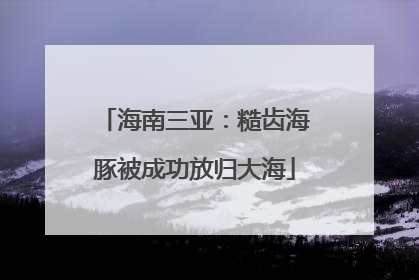 海南三亚：糙齿海豚被成功放归大海