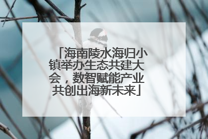 海南陵水海归小镇举办生态共建大会，数智赋能产业共创出海新未来