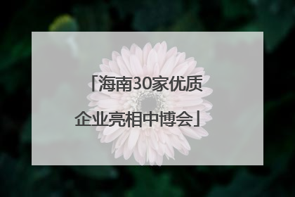 海南30家优质企业亮相中博会