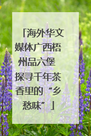 海外华文媒体广西梧州品六堡 探寻千年茶香里的“乡愁味”