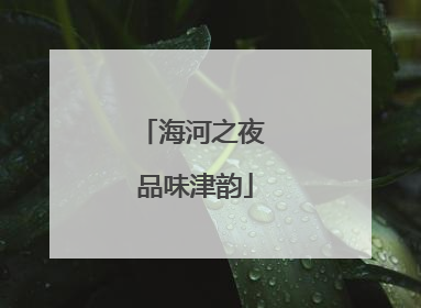 海河之夜 品味津韵