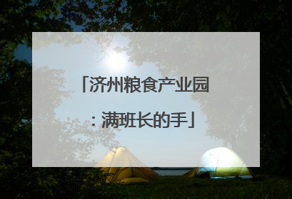 济州粮食产业园：满班长的手