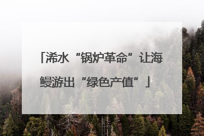 浠水“锅炉革命”让海鳗游出“绿色产值”