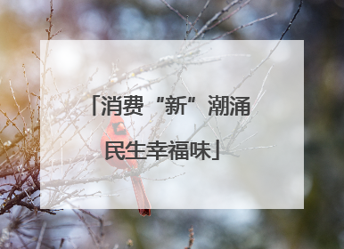 消费“新”潮涌 民生幸福味