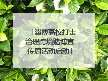 淄博高校打击治理跨境赌博宣传周活动启动