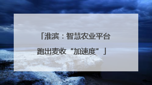 淮滨：智慧农业平台跑出麦收“加速度”
