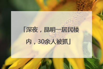 深夜，昆明一居民楼内，30余人被抓