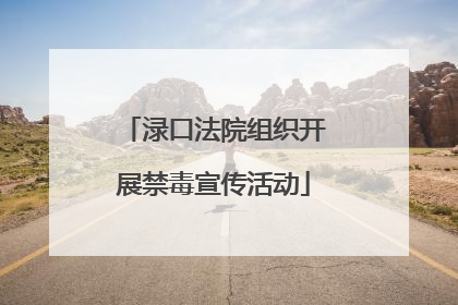渌口法院组织开展禁毒宣传活动