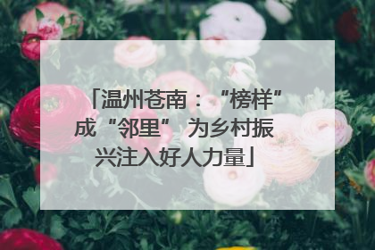 温州苍南：“榜样”成“邻里” 为乡村振兴注入好人力量