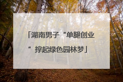湖南男子“单腿创业”撑起绿色园林梦
