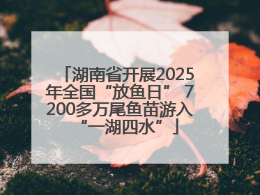 湖南省开展2025年全国“放鱼日” 7200多万尾鱼苗游入“一湖四水”