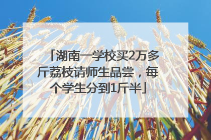 湖南一学校买2万多斤荔枝请师生品尝，每个学生分到1斤半
