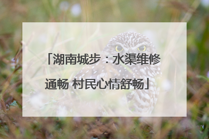 湖南城步：水渠维修通畅 村民心情舒畅