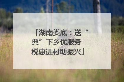 湖南娄底：送“典”下乡优服务 税惠进村助振兴