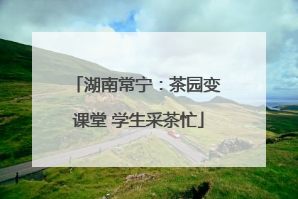 湖南常宁：茶园变课堂 学生采茶忙
