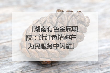 湖南有色金属职院：让红色精神在为民服务中闪耀